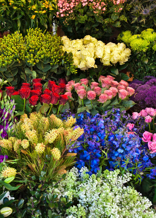 imported cut flowers to Singapore